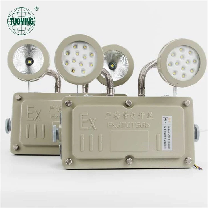 Flame Proof Emergency Light factory